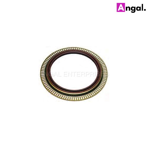 Man Oil Seal 